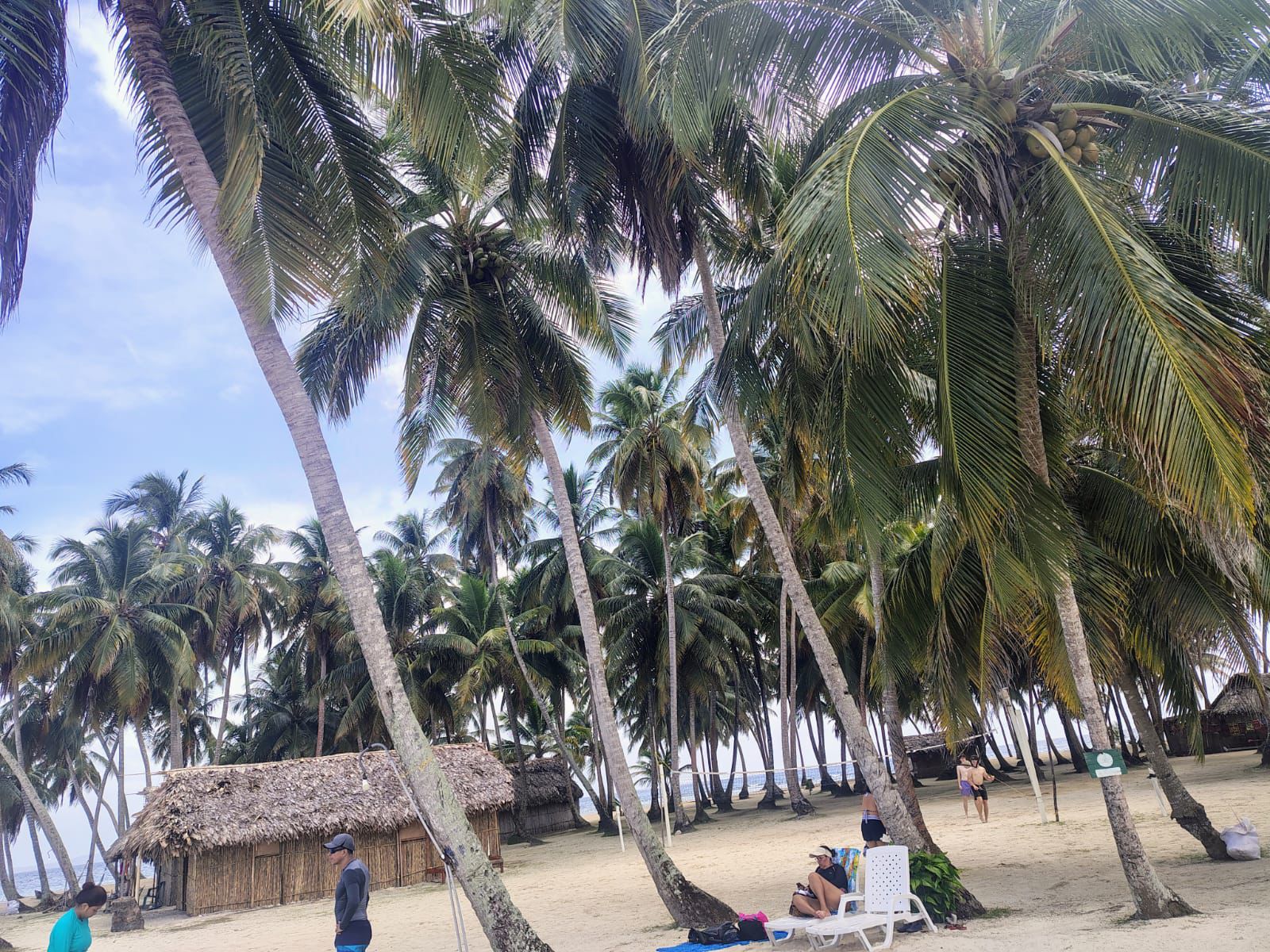 Foto de PANAMÁ - WhatsApp Image 2025-08-13 at 12.52.21 PM.jpeg